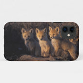 Coques Case-Mate iPhone renard roux, Vulpes vulpes, kits (Dos (Horizontal))