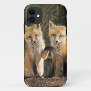 Etui iPhone Case-Mate Renardeau devant terrier (Vulpes vulpes)