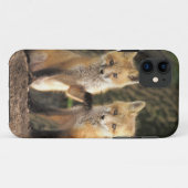 Coques Case-Mate iPhone Renardeau devant terrier (Vulpes vulpes) (Dos (Horizontal))