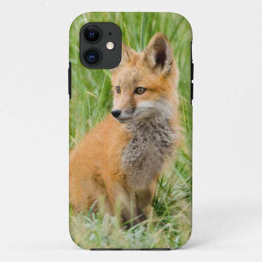 Coques Case-Mate iPhone Renardeau roux dans l'herbe près de terrier (Dos)