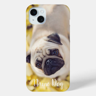 Coque iPhone 15 Mini Renommez votre chien de chien Carlin sur le boîtie