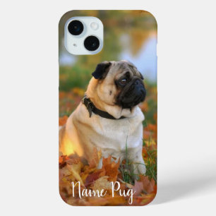 Coque iPhone 15 Mini Renommez votre chien de chien Carlin sur les boîti
