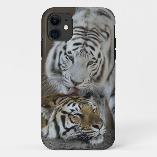 Coques Case-Mate iPhone Repos blanc et Brown de tigres (Dos)