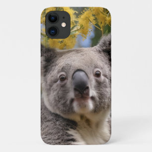 Case-Mate iPhone Case "Repose en or : Un Koala dans un arbre à bétail"