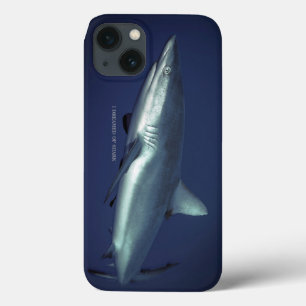 iPhone 13 Coque Requin de récif gris à Yap Micronésie