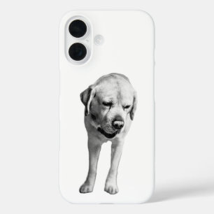 Coques iPhone 16 Résistance à la moite