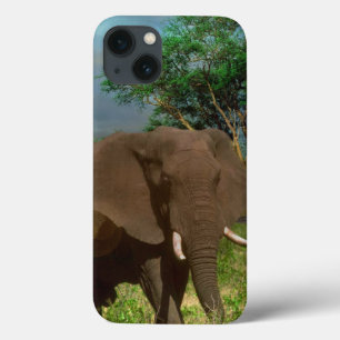 Case-Mate iPhone Case "Résistance sereine : Le Graissage des éléphants B