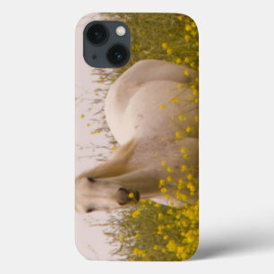 Etui iPhone 13 Ressort