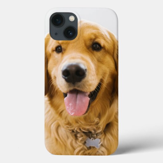 Coques Case-Mate iPhone Retriever d'or souriant (Verso)