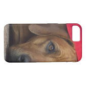 Coques Case-Mate iPhone rhodesian-ridgeback (Dos (Horizontal))