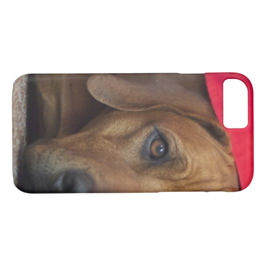 Coques Case-Mate iPhone rhodesian-ridgeback (Dos (Horizontal))