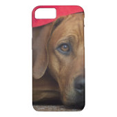 Coques Case-Mate iPhone rhodesian-ridgeback (Dos)