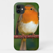 Coques Case-Mate iPhone Robin Red Breast (Dos)