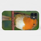 Coques Case-Mate iPhone Robin Red Breast (Dos (Horizontal))