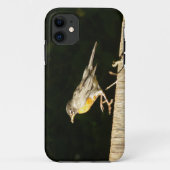 Coques Case-Mate iPhone Robin rouge (Dos)