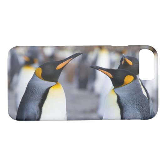 Coques Case-Mate iPhone Roi Pingouin (Dos (Horizontal))