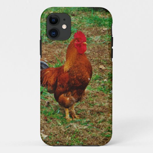 Coques Case-Mate iPhone Rooster (Dos)