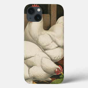 Etui iPhone 13 Roosters & Hen outside Hen House with White Border
