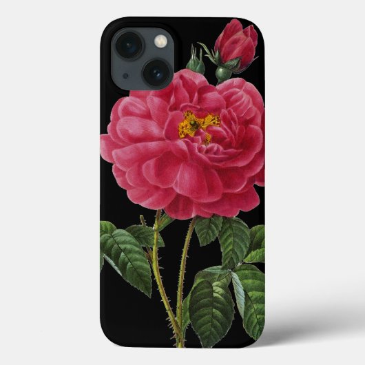 Coques Case-Mate iPhone Rosa Gallica (Verso)