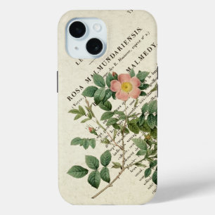 Coque Pour iPhone 15 Rosa malmundariensis