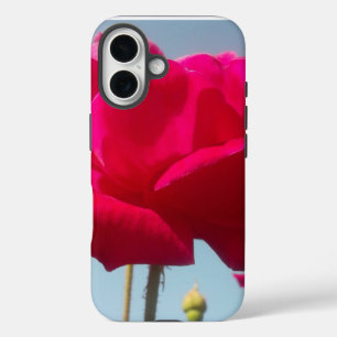 Coques iPhone 16 Rose Céleste Belle Fleur Rouge sur Fond Bleu
