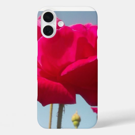 Coques Case-Mate iPhone Rose Céleste | Belle Fleur Rouge sur Fond Bleu (Verso)