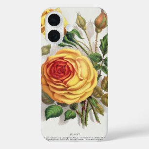 Coques iPhone 16 Rose jaune et orange de coucher de soleil vintage,