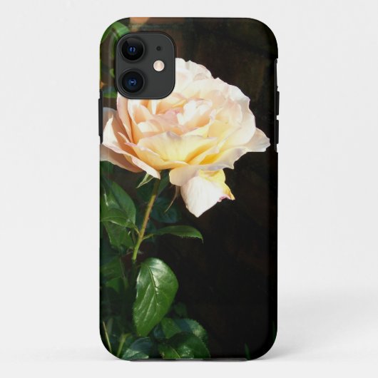 Coques Case-Mate iPhone Rose Pale Creamy Rose Dreaming Spires (Dos)