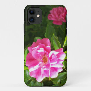 Coque iPhone 11 Rose rose vif Photographie Rosa Rugosa