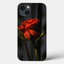Rose rouge
