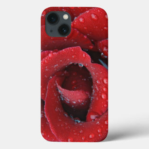 iPhone 13 Case Rose rouge couverte de rosée décorant un lieu de s
