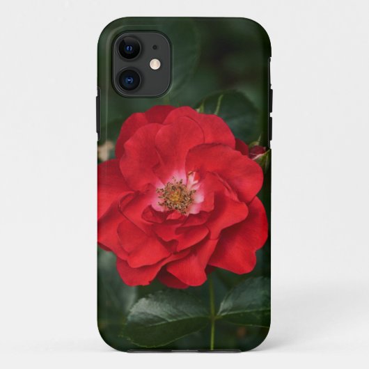 Coques Case-Mate iPhone Rose rouge P6568 (Dos)