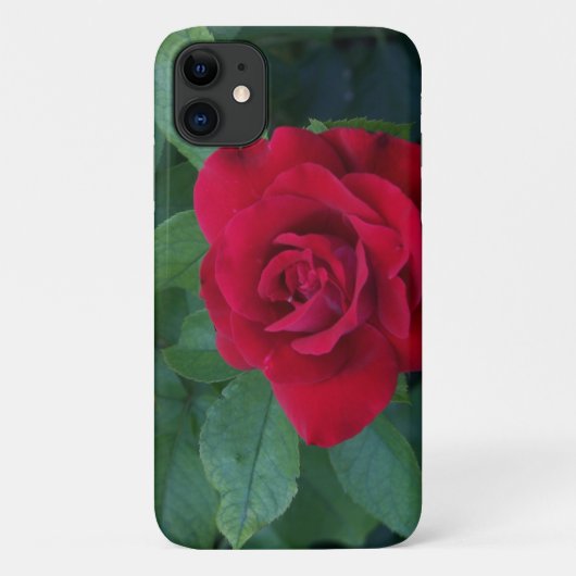 Coques Case-Mate iPhone Rose rouge proche (Dos)