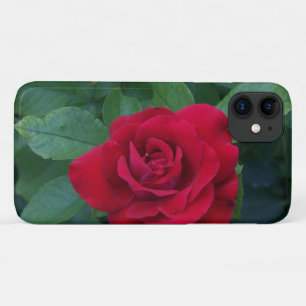 Case-Mate iPhone Case Rose rouge proche