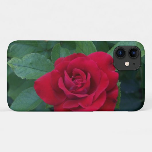 Coques Case-Mate iPhone Rose rouge proche (Dos (Horizontal))