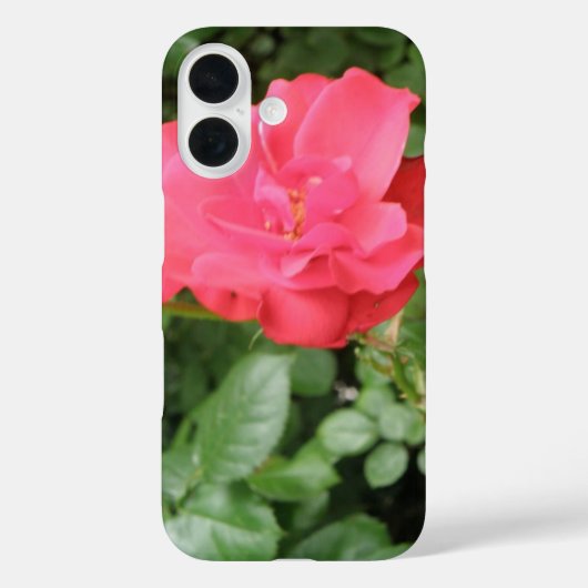 Coques Case-Mate iPhone Rose sauvage (Verso)