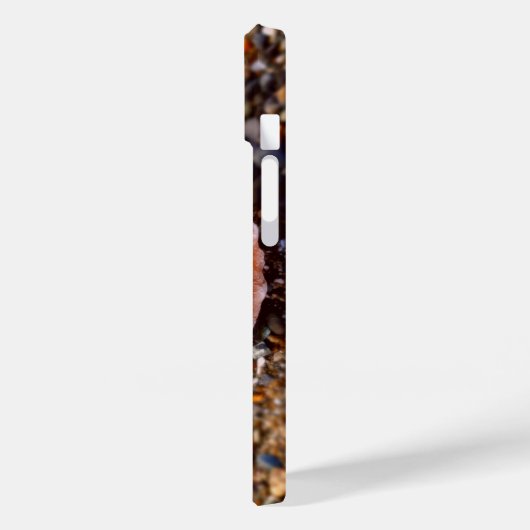 COQUES Case-Mate iPhone ROSE SHINY SHELY STONY SEASHELL BEACH PHOTO NATURE (Verso / Gauche)