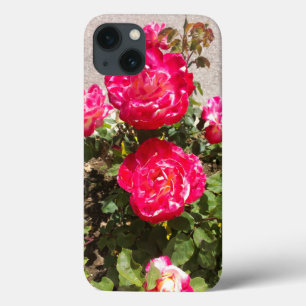 Etui iPhone Case-Mate Roses du jardin rouge