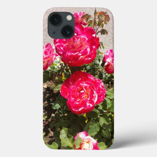 Coques Case-Mate iPhone Roses du jardin rouge (Verso)