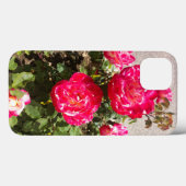 Coques Case-Mate iPhone Roses du jardin rouge (Verso (horizontal))