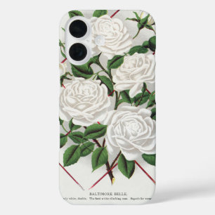 Coques iPhone 16 Rosier grimpant blanc victorien antique de jardin