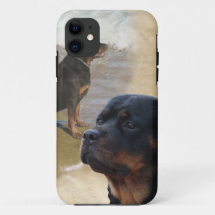 Etui iPhone Case-Mate Rottweiler