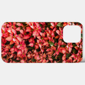 Coques Case-Mate iPhone Rouge Noël Poinsettia (Verso (horizontal))
