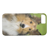 Coques Case-Mate iPhone Rough Collie, chien (Dos (Horizontal))