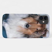 Coques Case-Mate iPhone Rough Sable Collie (Dos (Horizontal))