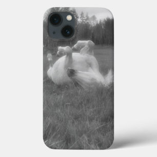 iPhone 13 Coque Roulement de cheval blanc en herbe B&W Photo au BC