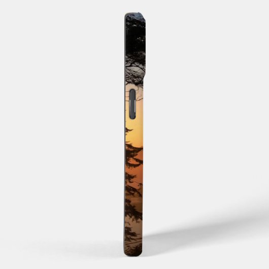 Coques Case-Mate iPhone Ruby Beach À Travers Les Arbres (Verso / Droite)