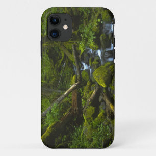 Coques Pour iPhone Ruisseau de la forêt pluviale tempérée dans la riv
