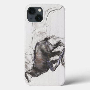 iPhone 13 Coque Running Chamois