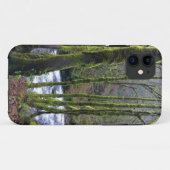 Coques Case-Mate iPhone Runoff from Bridal Veil Falls (Dos (Horizontal))